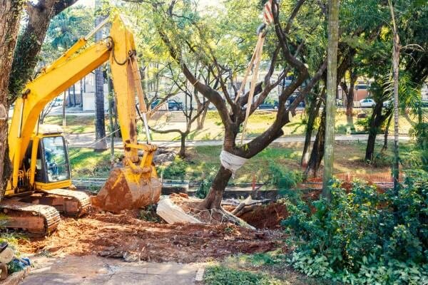 Tree Removal Service in Frederick MD
